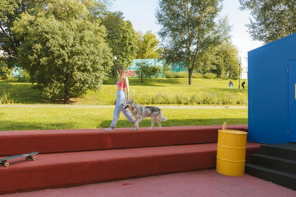 Hoe kun je je hond helpen bij het overwinnen van verlatingsangst?